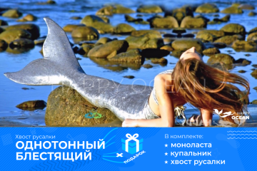 ОДНОТОННИЙ БЛИСКУЧИЙ «СРІБЛЯСТИЙ»